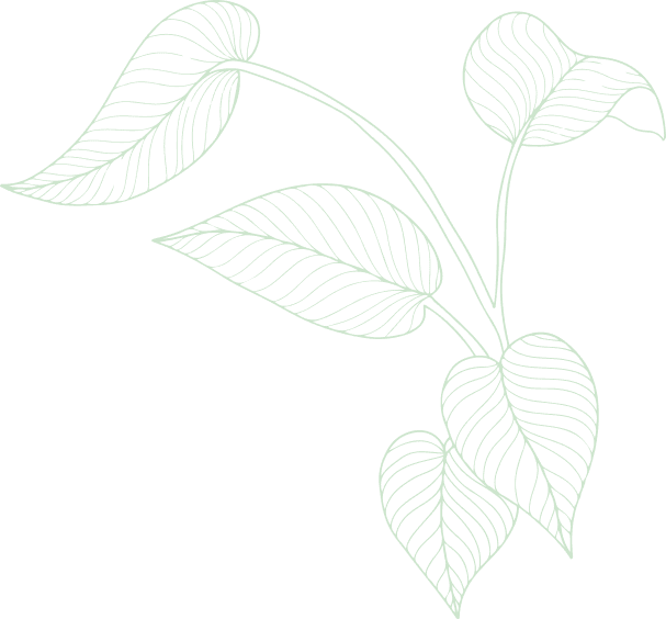 CÔNG TY TRÁCH NHIỆM HỮU HẠN VIỆT F.A.R.M